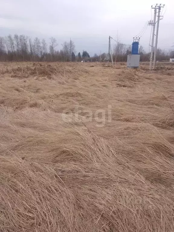 Участок в Владимирская область, Муромский район, д. Александровка ... - Фото 0