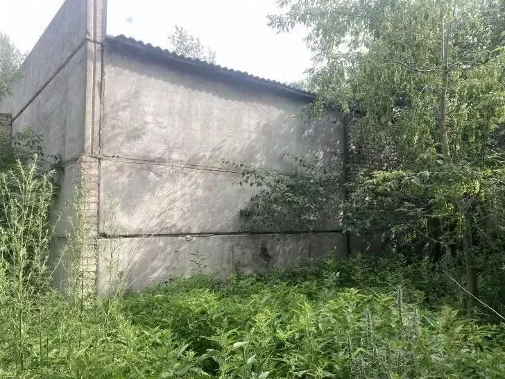 Помещение свободного назначения в Челябинская область, Сосновский ... - Фото 1