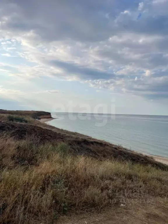 Участок в Крым, Черноморский район, с. Окуневка  (348.04 сот.) - Фото 0