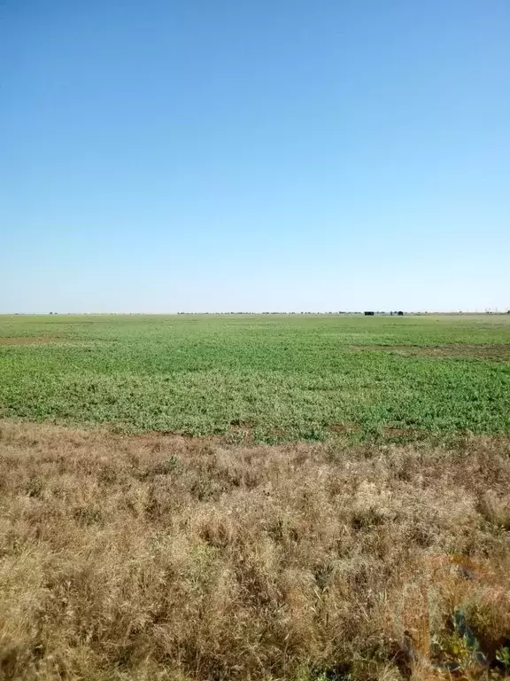 Участок в Крым, Сакский район, с. Штормовое  (6.0 сот.) - Фото 0
