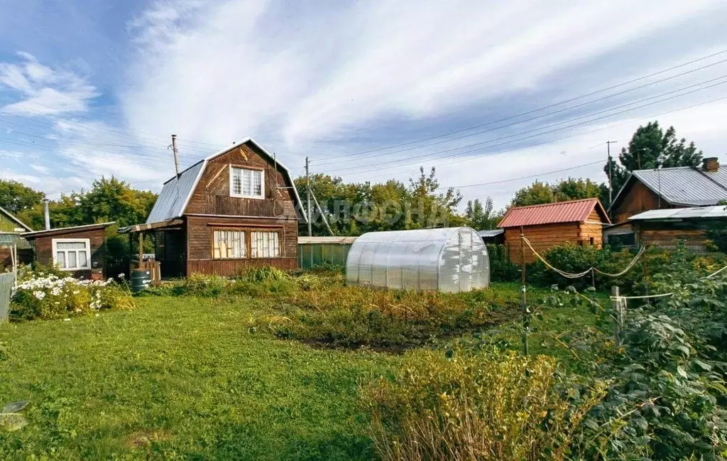 Дом в Новосибирская область, с. Новолуговое  (49 м) - Фото 0