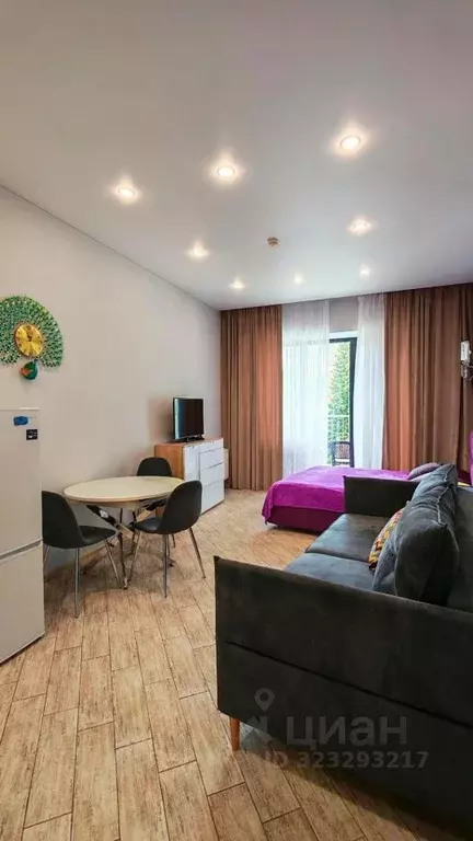 Студия Краснодарский край, Сочи Курортный просп., 105 (45.0 м) - Фото 1