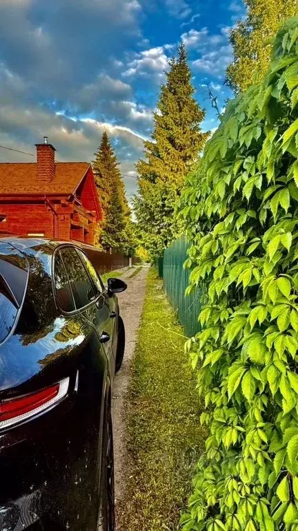 Участок в Московская область, Щелково городской округ, Птицевод СНТ ... - Фото 1