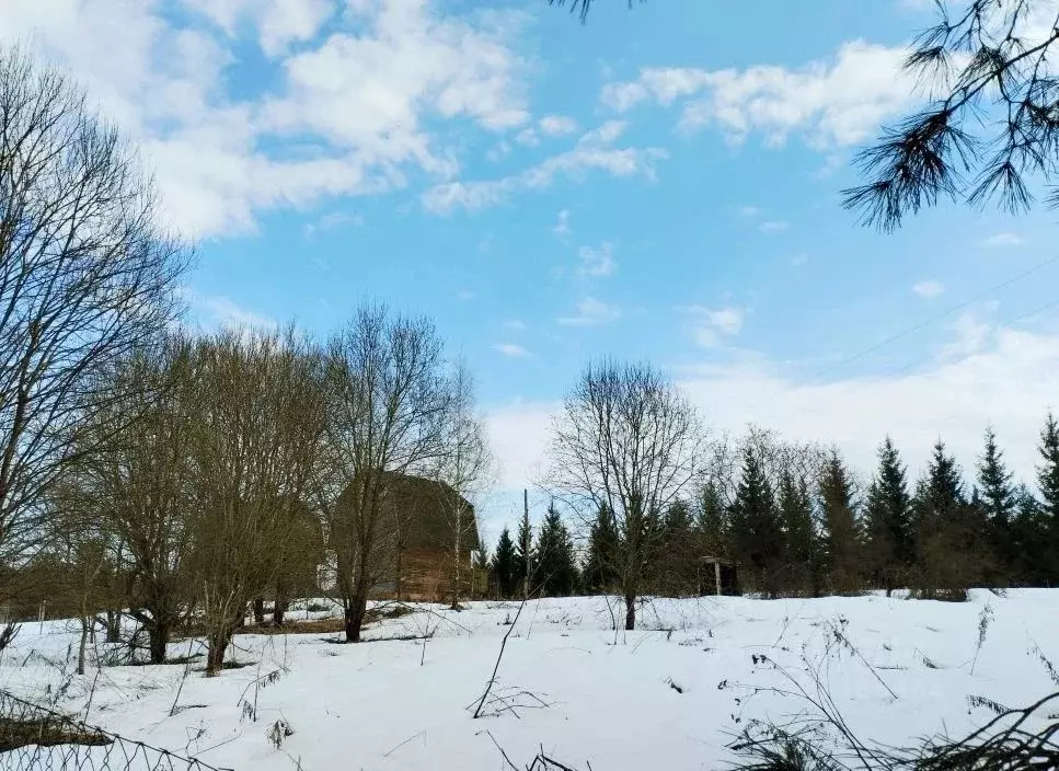 Участок в Тульская область, Заокский район, Малаховское с/пос, д. ... - Фото 1