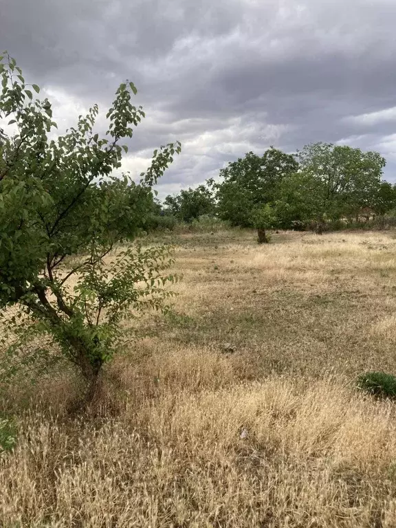Участок в Крым, Кировский район, с. Журавки пер. Северный (45.0 сот.) - Фото 1