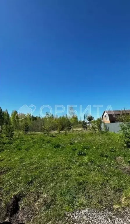 Участок в Тюменская область, Тюменский муниципальный округ, Подъем СНТ ... - Фото 2