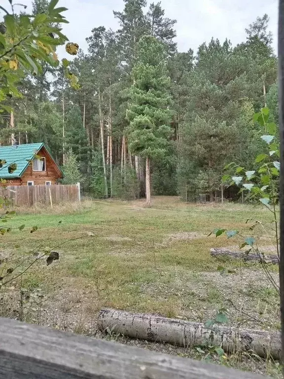 Участок в Томская область, Шегарский район, пос. Победа Сосновая ул., ... - Фото 1