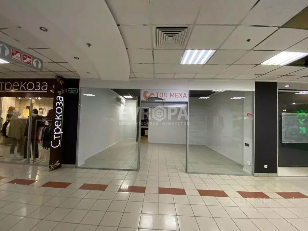 Торговая площадь в Ульяновская область, Ульяновск ул. Карла Маркса, ... - Фото 2