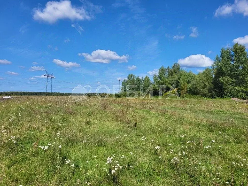 Участок в Тюменская область, Тюменский район, с. Щербак  (5.25 сот.) - Фото 0