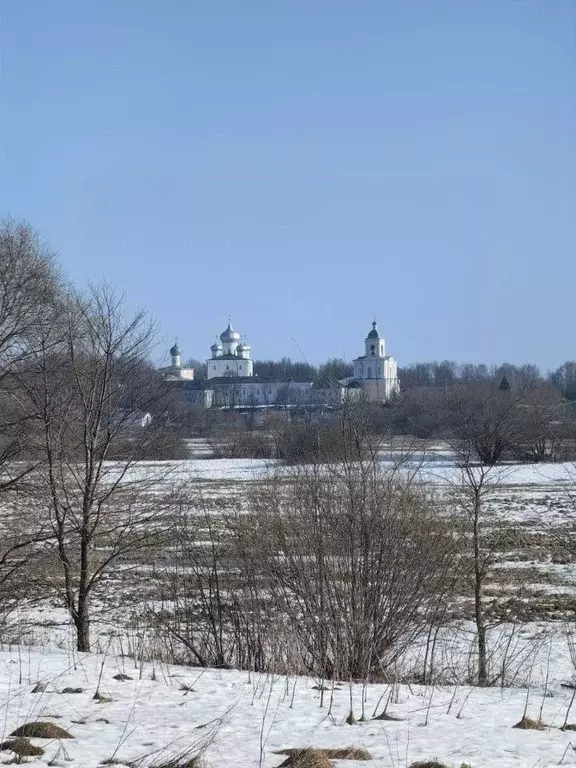Участок в Новгородская область, Новгородский район, Трубичинское ... - Фото 1