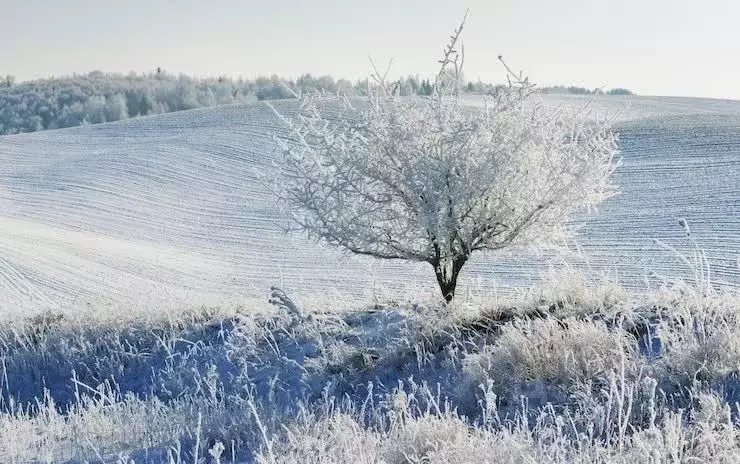 Участок в Тульская область, Тула городской округ, д. Бежка  (10.0 ... - Фото 1