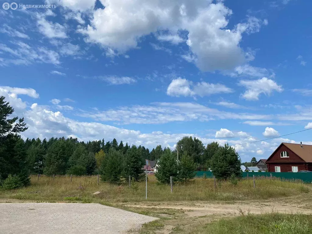 Участок в Вологодская область, Кадуйский муниципальный округ, посёлок ... - Фото 2