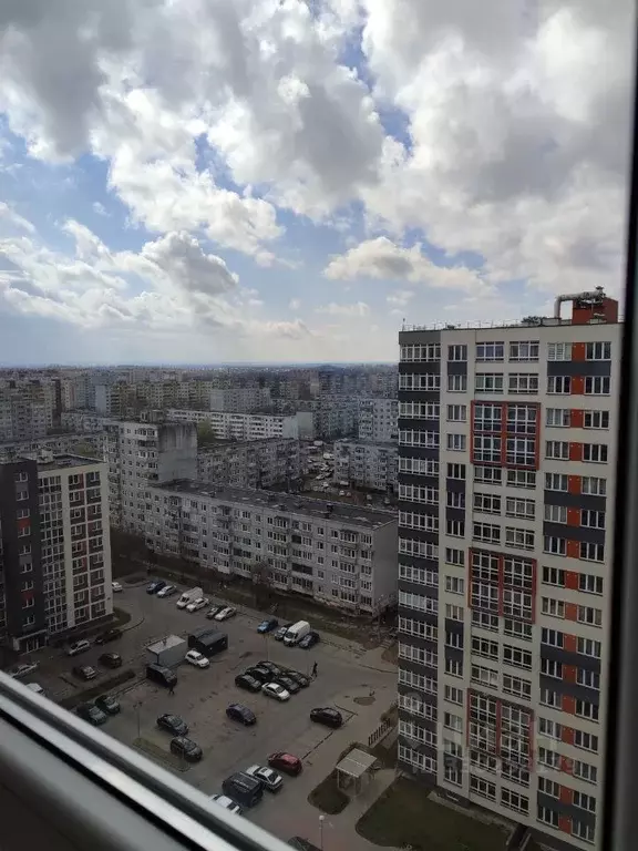 Студия Калининградская область, Калининград Батальная ул., 98 (22.4 м) - Фото 1