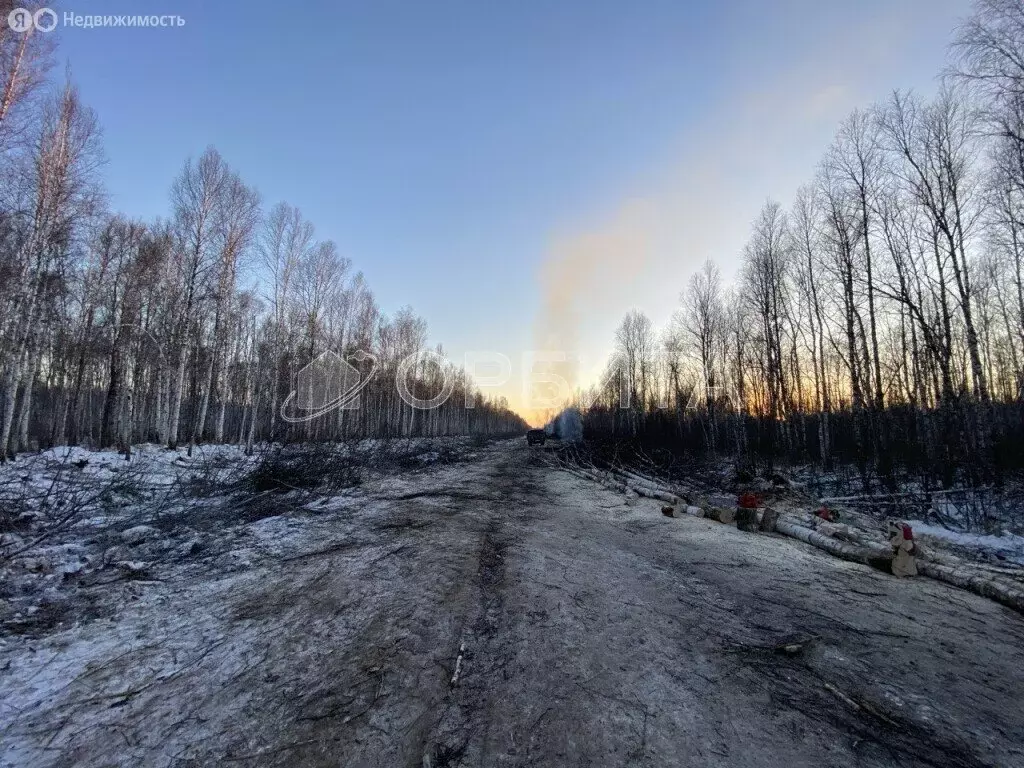 Участок в Тюмень, Велижанский тракт, 7-й километр (7 м) - Фото 1