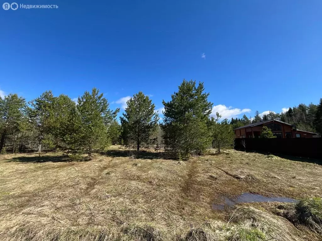 Участок в село Романово, улица Голицына, 4 (11 м) - Фото 0