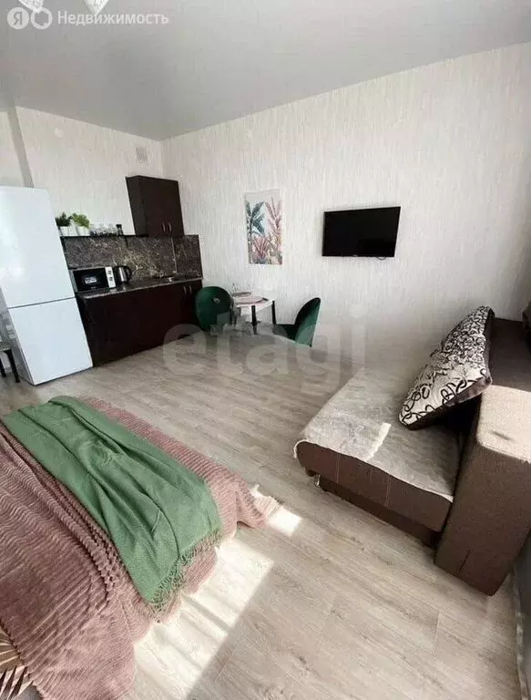 Квартира-студия: Барнаул, Северный Власихинский проезд, 98 (29.7 м) - Фото 2