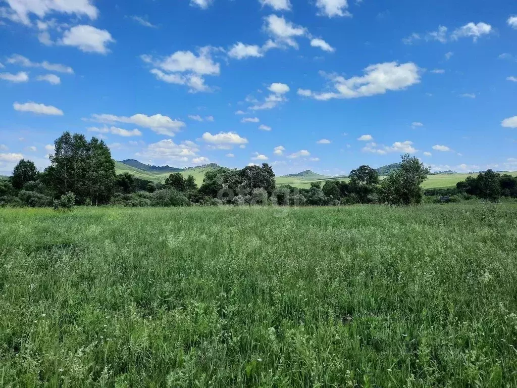 Участок в Алтайский край, Алтайский район, с. Куяган  (520.0 сот.) - Фото 2