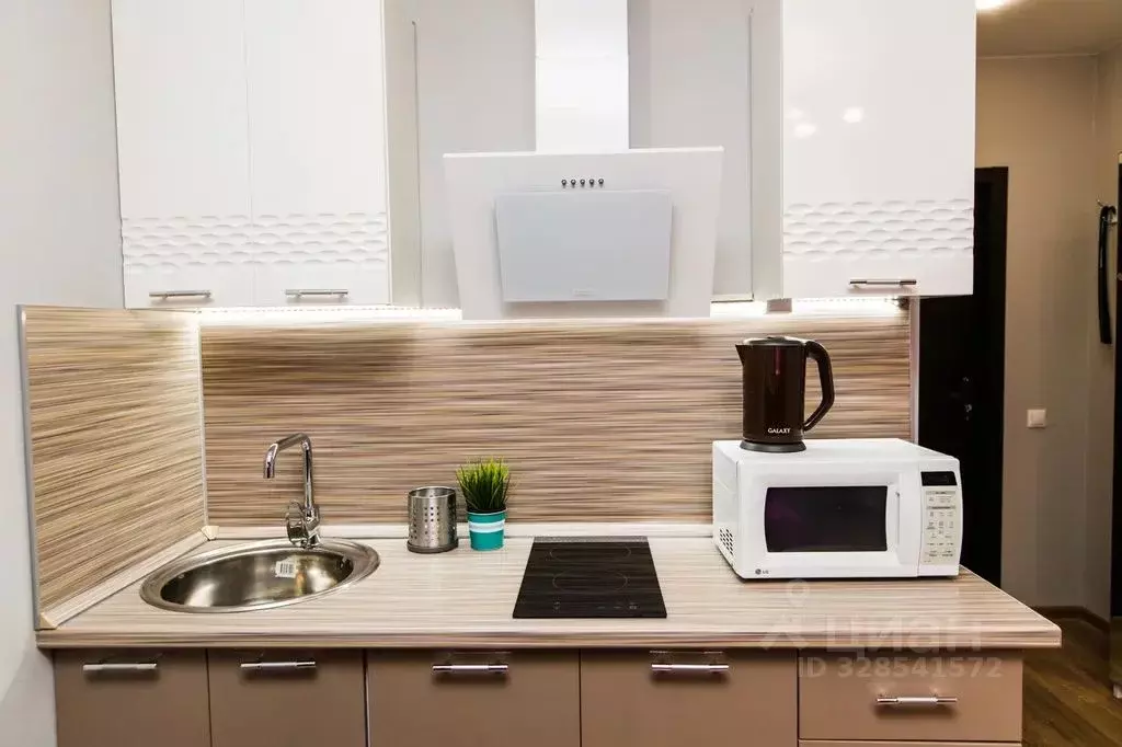 Студия Москва ул. Татьянин Парк, 16к1 (25.0 м) - Фото 2