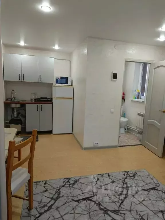 Студия Псковская область, Псковский район, Логозовская волость, д. ... - Фото 2