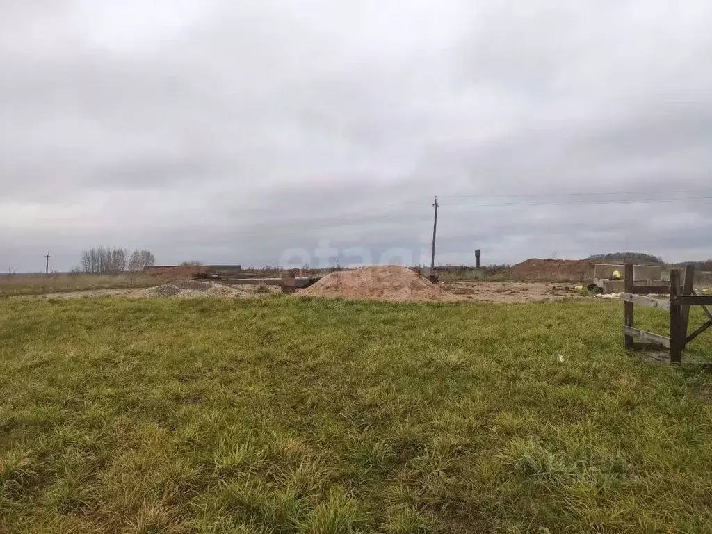 Участок в Псковская область, Палкинский муниципальный округ, д. ... - Фото 2