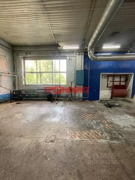 Помещение свободного назначения в Новосибирская область, Новосибирский ... - Фото 0