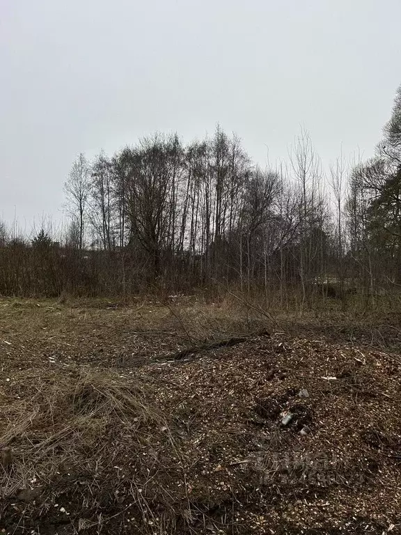 Участок в Ленинградская область, Гатчинский муниципальный округ, д. ... - Фото 2