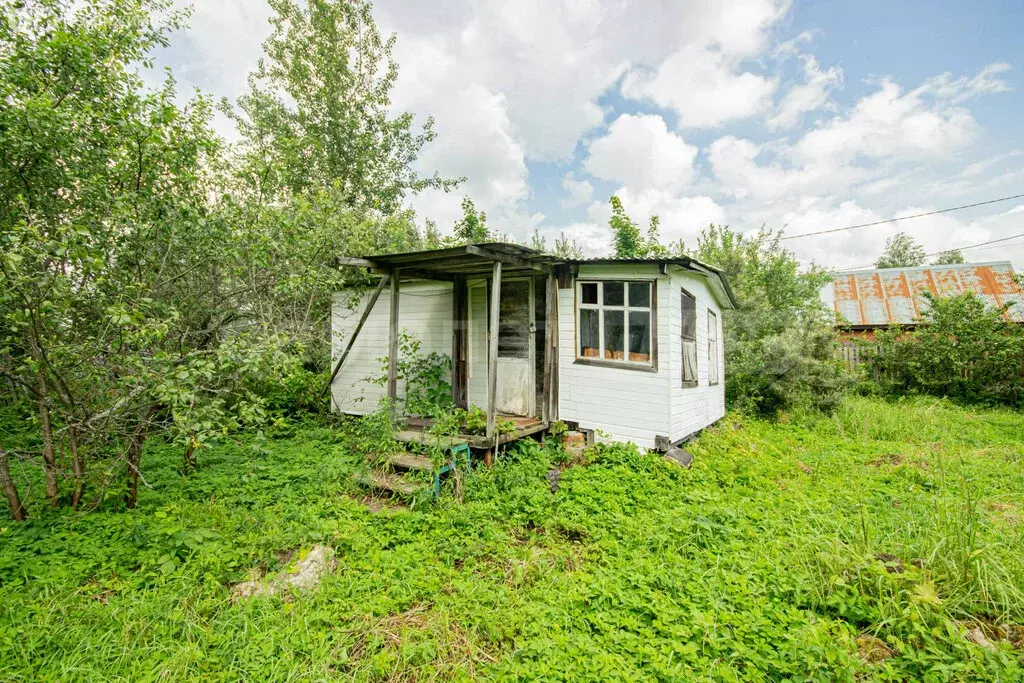 Дом в Александровка, Лесная улица, 21 (30 м) - Фото 0