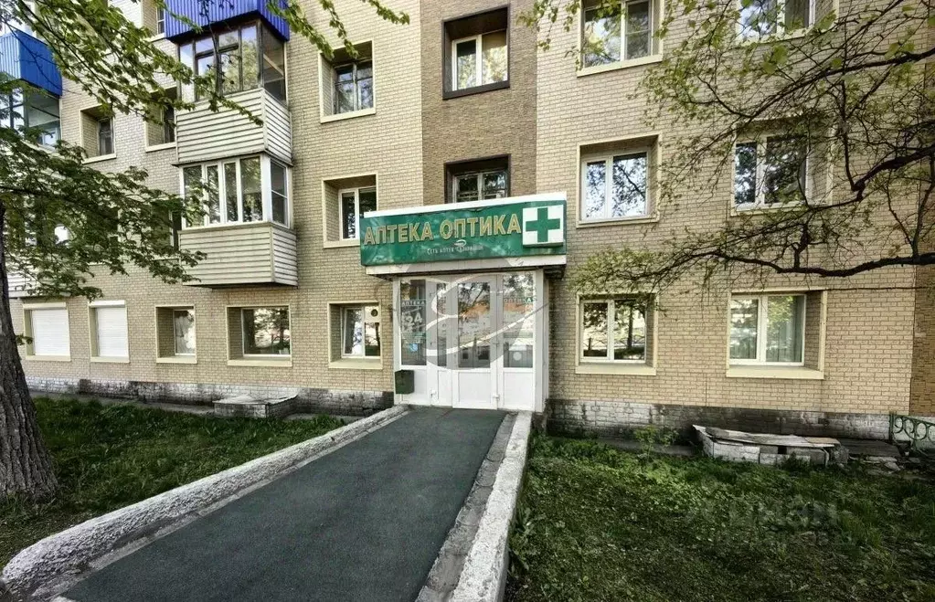 Торговая площадь в Камчатский край, Елизово ул. Завойко, 11 (167 м) - Фото 1