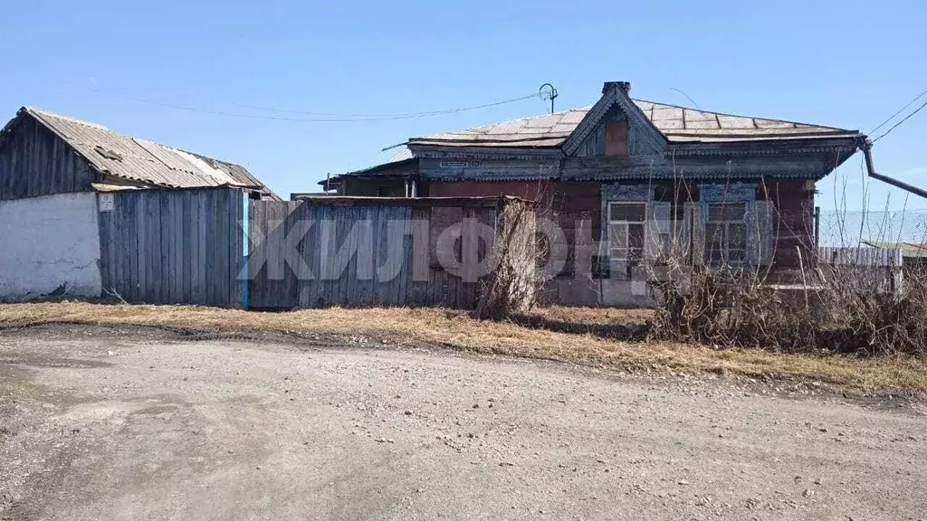 Дом в Новосибирская область, с. Новолуговое Береговая ул. (28 м) - Фото 0