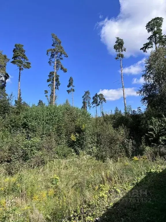 Участок в Московская область, Пушкино Моспроекта мкр, Набережная ул. ... - Фото 1