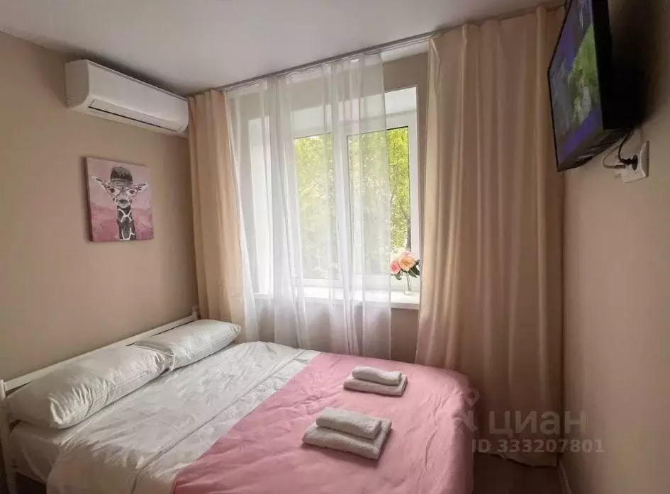 Студия Пермский край, Пермь ул. Краснова, 25 (20.0 м) - Фото 1