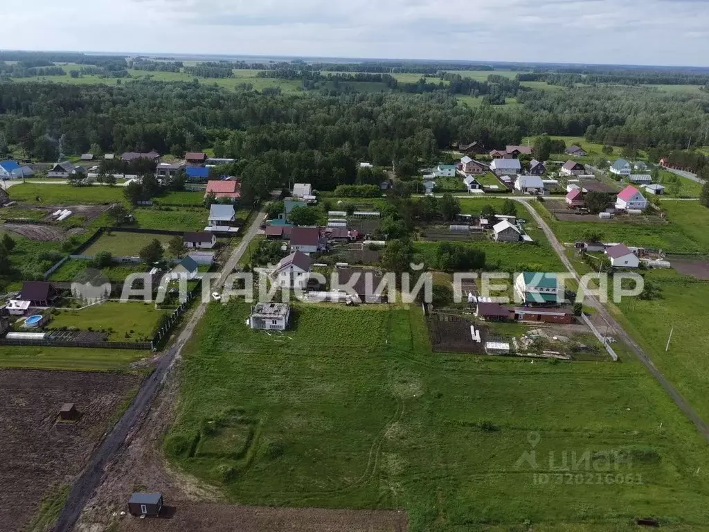 Участок в Алтайский край, Барнаул городской округ, пос. Бельмесево ул. ... - Фото 0