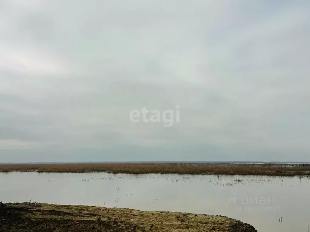 Участок в Адыгея, Тахтамукайский район, Шенджий аул  (1000.0 сот.) - Фото 1