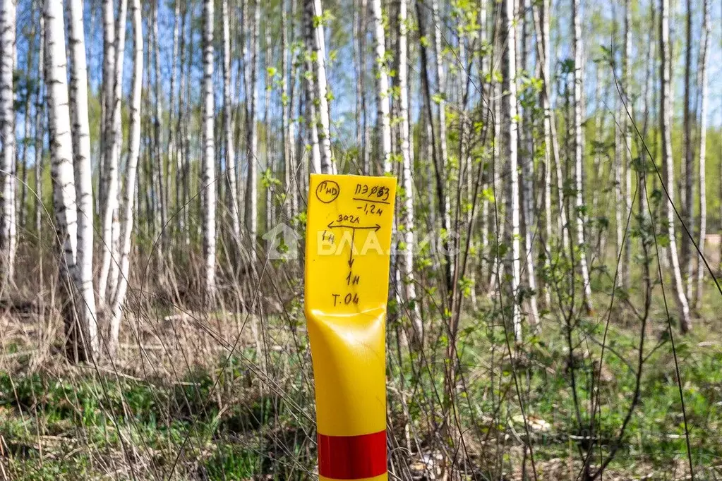 Участок в Владимирская область, Владимир ул. Большая Лукинская, 16 ... - Фото 2