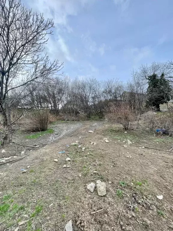 Участок в Крым, Ялта муниципальный округ, Голубой Залив пгт ул. ... - Фото 1