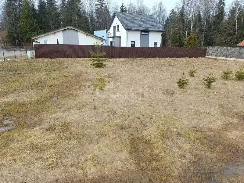 Участок в Московская область, Солнечногорск городской округ, Лисичкин ... - Фото 2