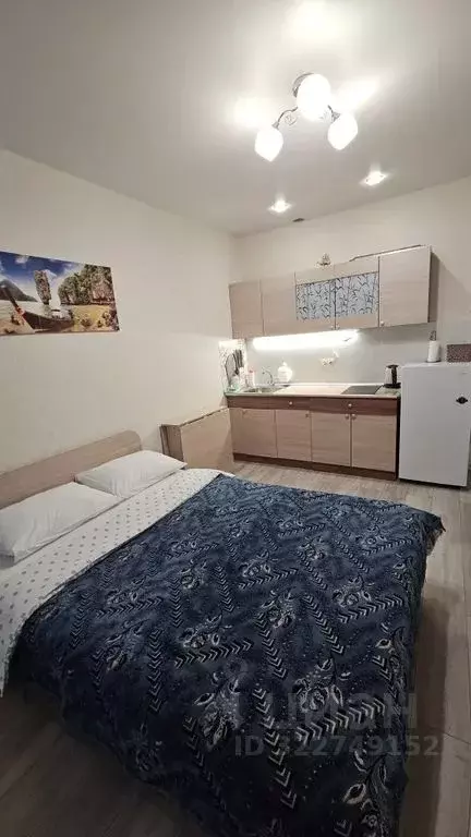 Студия Краснодарский край, Сочи городской округ, Дагомыс пгт ул. ... - Фото 2