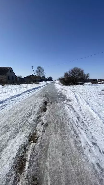 Участок в Саратовская область, Энгельсский район, Красноярское ... - Фото 1