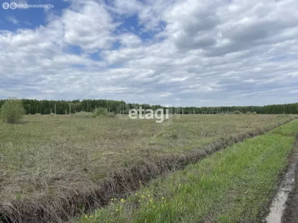 Участок в Тюменский район, село Кулига, микрорайон Кулига-2 (15 м) - Фото 1