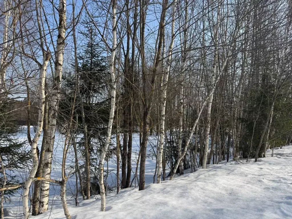 Участок в Московская область, Волоколамский муниципальный округ, д. ... - Фото 1