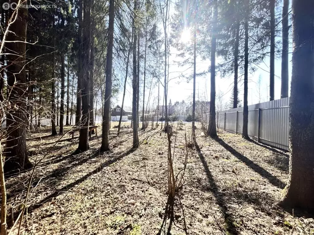 Участок в Московская область, Дмитровский муниципальный округ, КП Дюна ... - Фото 1