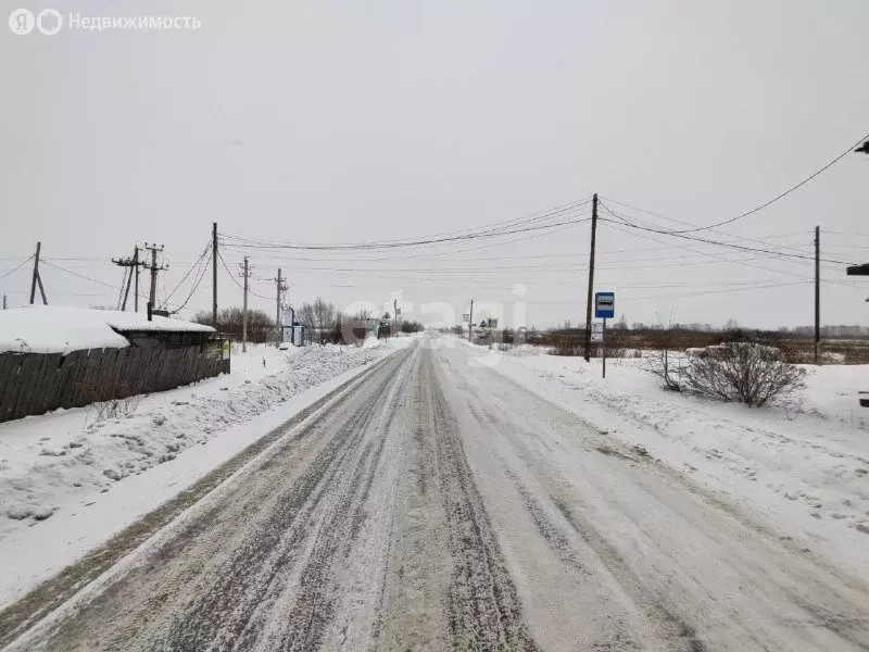 Участок в Тюменский муниципальный округ, садовое некоммерческое ... - Фото 1