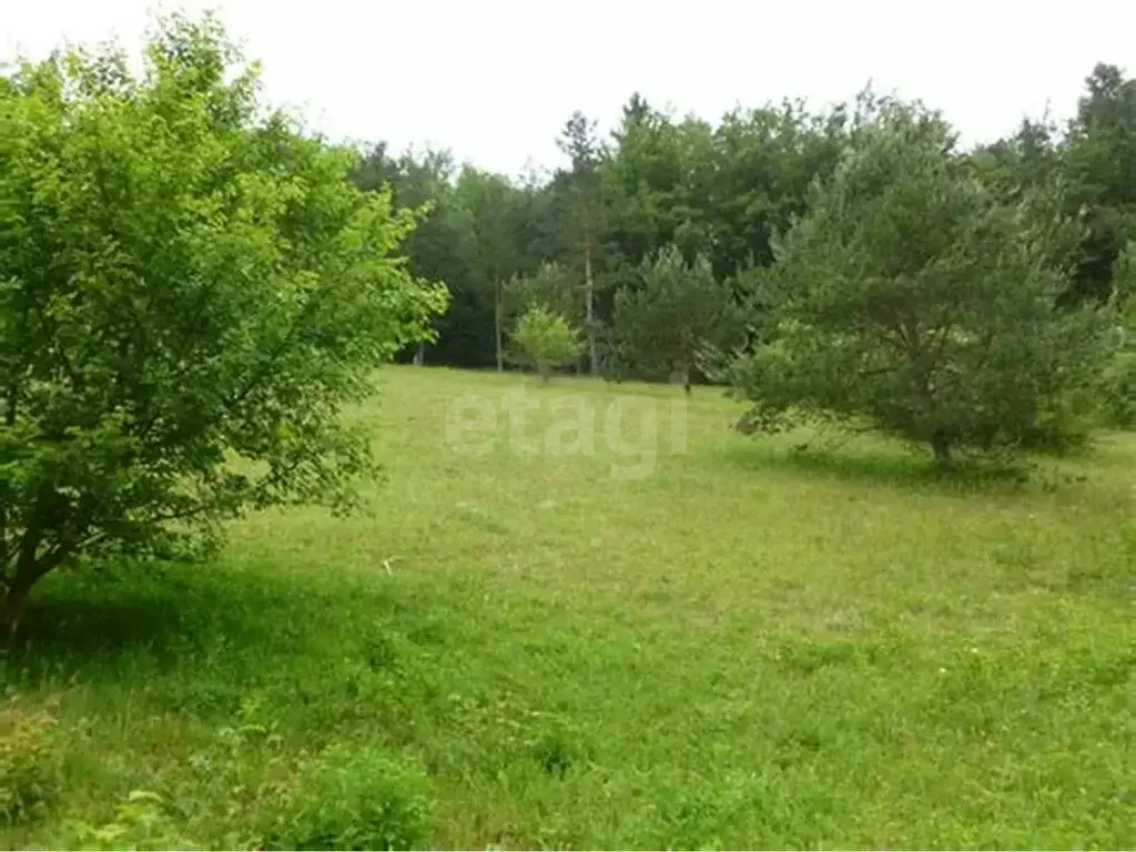 Участок в Курганская область, Кетовский муниципальный округ, ДНТ Южный ... - Фото 2