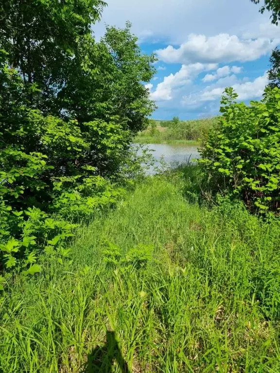 Участок в Хабаровский край, Хабаровский район, с. Краснореченское  ... - Фото 2