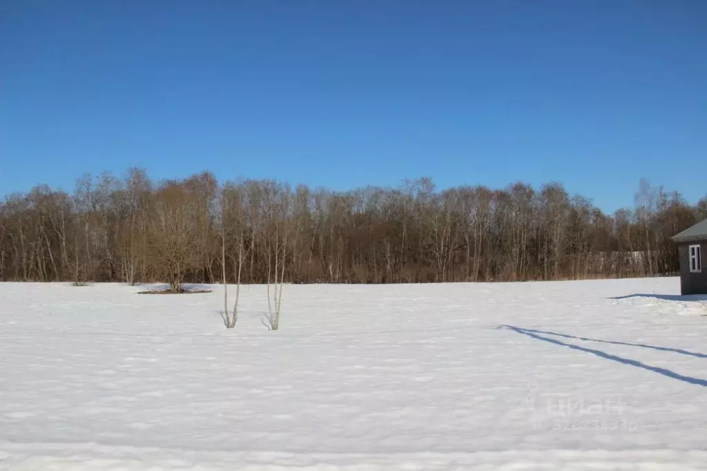 Участок в Московская область, Шаховская муниципальный округ, с. ... - Фото 1