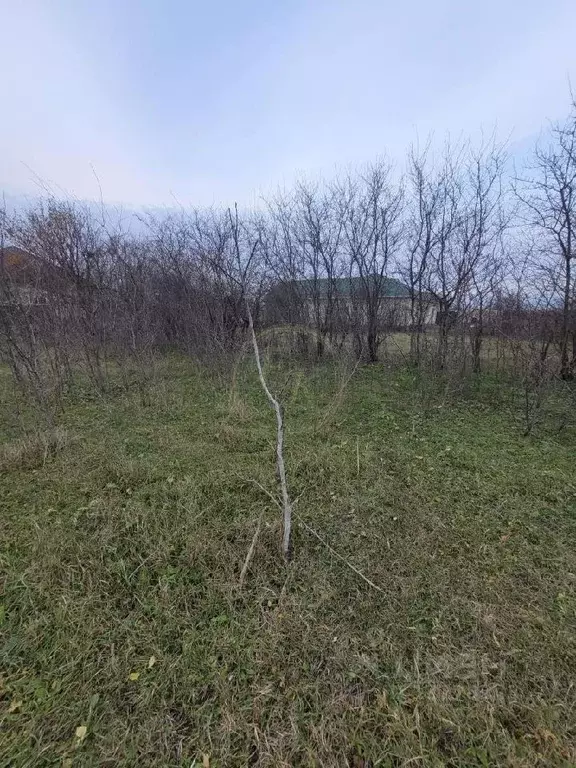 Дом в Карачаево-Черкесия, Прикубанский район, с. Чапаевское  (56 м) - Фото 0