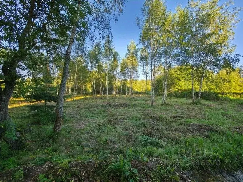 Участок в Московская область, Руза Прирецкая ул. (8.0 сот.) - Фото 2