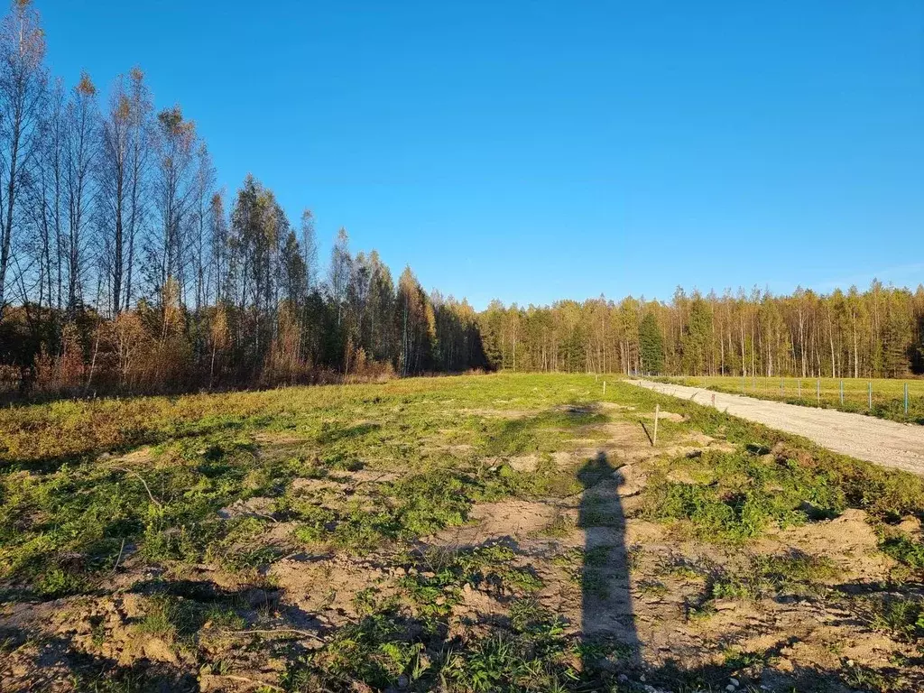 Участок в Ленинградская область, Всеволожский район, Свердловское ... - Фото 1