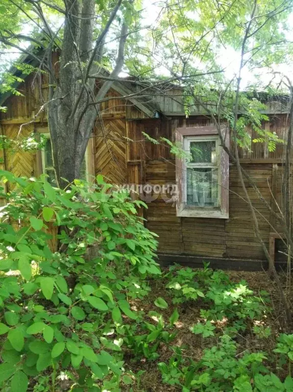 Участок в Новосибирская область, Новосибирск Любитель СТ,  (5.3 сот.) - Фото 1