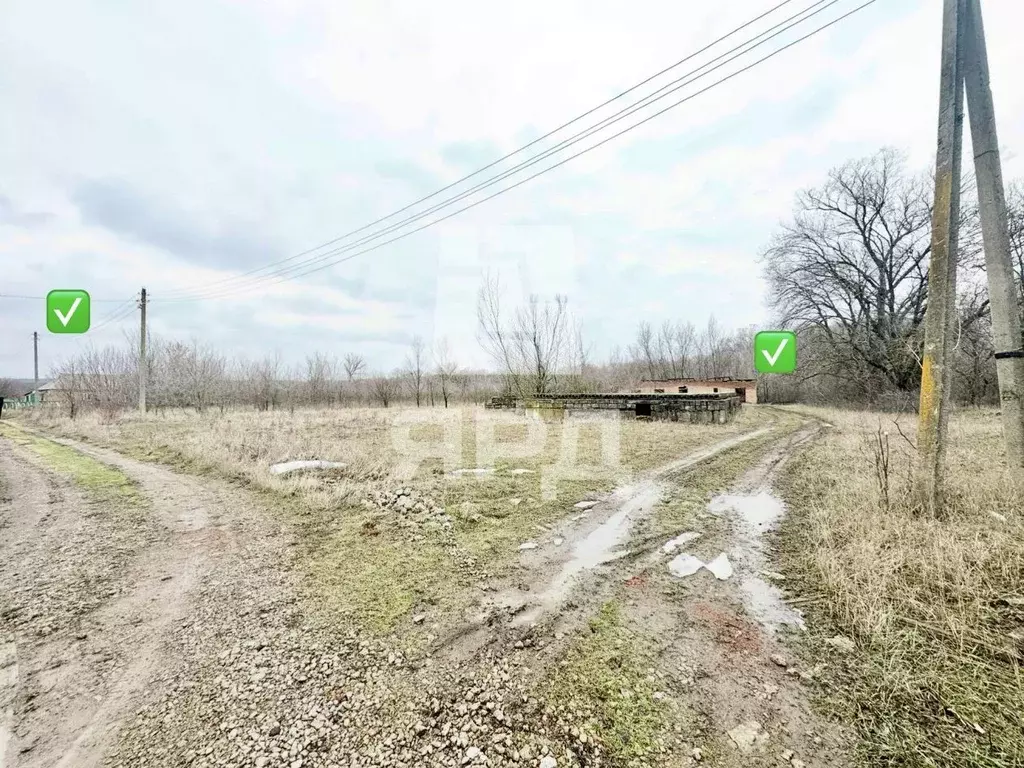 Участок в Ростовская область, Матвеево-Курганский район, Алексеевское ... - Фото 2